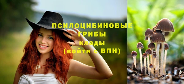 скорость Дмитров