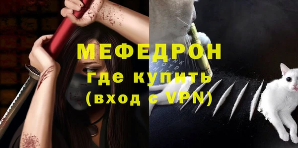 ГАЛЛЮЦИНОГЕННЫЕ ГРИБЫ Дмитриев