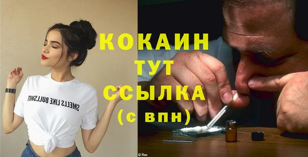 ГАЛЛЮЦИНОГЕННЫЕ ГРИБЫ Дмитриев