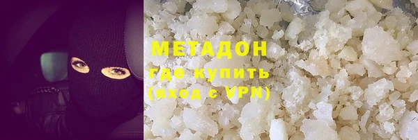 ГАЛЛЮЦИНОГЕННЫЕ ГРИБЫ Дмитриев