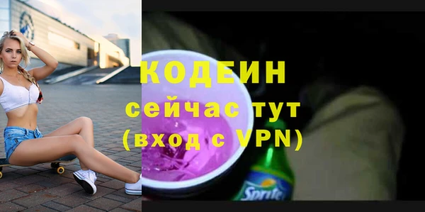 ГАЛЛЮЦИНОГЕННЫЕ ГРИБЫ Дмитриев