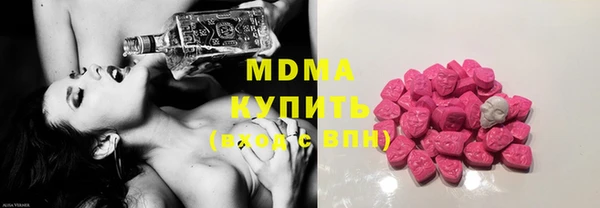 ГАЛЛЮЦИНОГЕННЫЕ ГРИБЫ Дмитриев