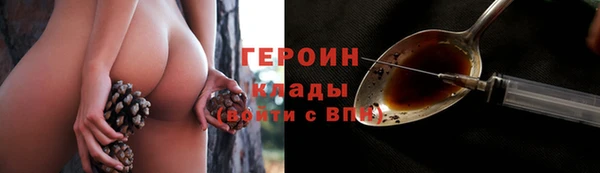 ГАЛЛЮЦИНОГЕННЫЕ ГРИБЫ Дмитриев