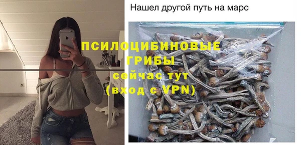 ГАЛЛЮЦИНОГЕННЫЕ ГРИБЫ Дмитриев
