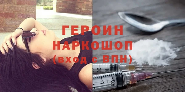 ГАЛЛЮЦИНОГЕННЫЕ ГРИБЫ Дмитриев
