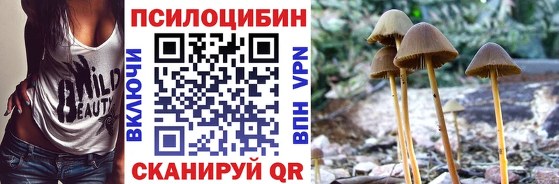 Купить где  Пыть-Ях  Галлюциногенные грибы MAGIC MUSHROOMS 